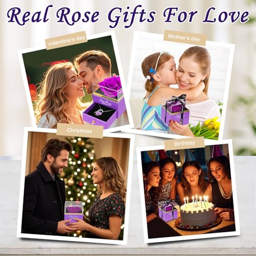 Save 31% on Preserved Rose Gift with Necklace for Women - Image 4