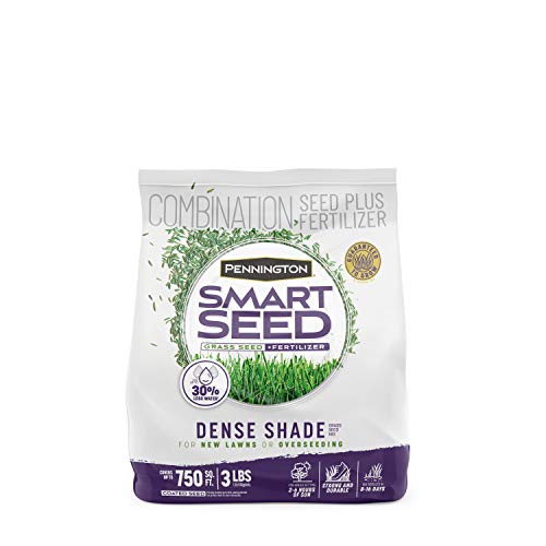 46% Off Pennington Dense Shade Grass Seed Mix, 3 lb - Image 1