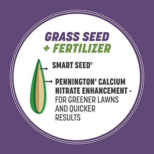 46% Off Pennington Dense Shade Grass Seed Mix, 3 lb - Image 4
