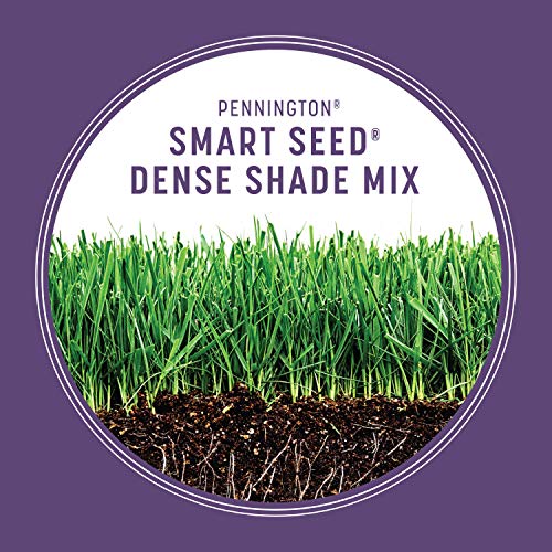 46% Off Pennington Dense Shade Grass Seed Mix, 3 lb - Image 5