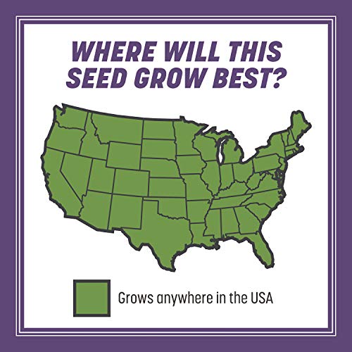 46% Off Pennington Dense Shade Grass Seed Mix, 3 lb - Image 6