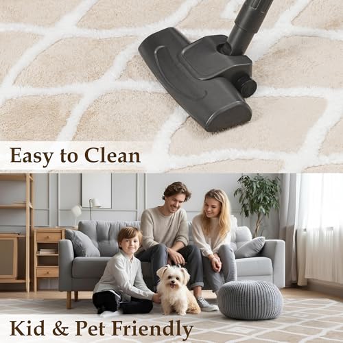 Save 30% on PureCozy 4x6 Soft Shag Area Rug - Image 4