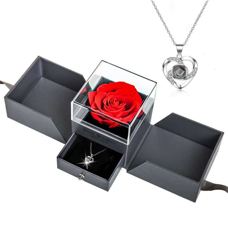 Preserved Rose Gift Box with Necklace - Under $10 - Image 1