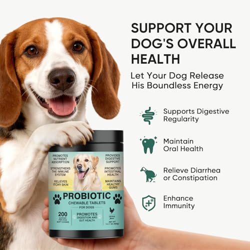 Save 23% on Probiotic Chews for Dog Digestive Health - Image 2