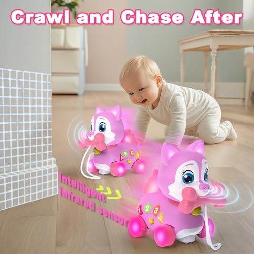 Musical Puppy Learning Toy for Babies 6-18 Months - Image 4