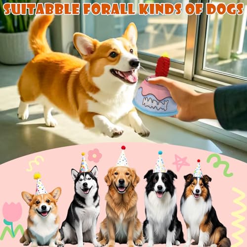 50% Off No-Stuffing Dog Birthday Toy with Squeaky Balls - Image 6