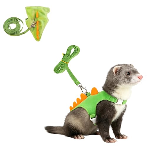50% Off Dinosaur Ferret Harness & Leash Set for Small Pets - Image 1