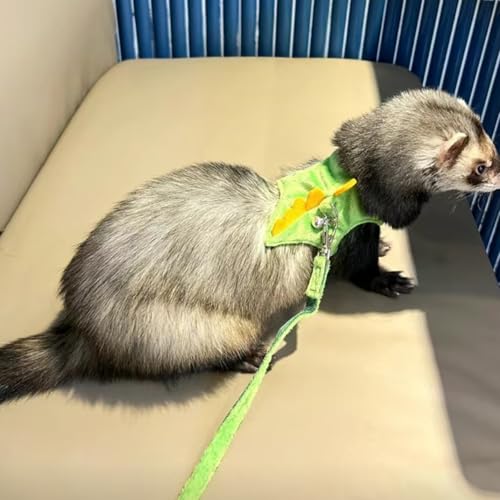 50% Off Dinosaur Ferret Harness & Leash Set for Small Pets - Image 4