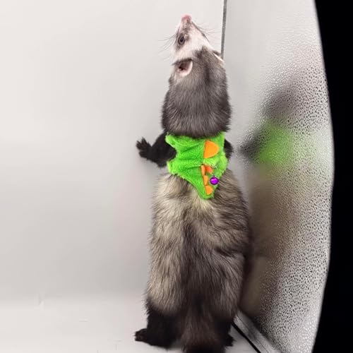 50% Off Dinosaur Ferret Harness & Leash Set for Small Pets - Image 6