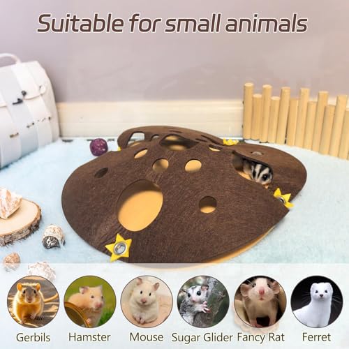50% Off Hamster Tunnel Hideout with Chew Toys - Image 6
