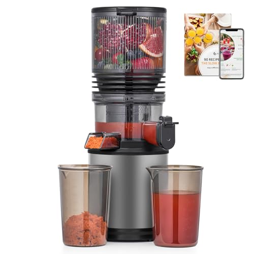 55% Off AMZCHEF Cold Press Juicer with Extra-Wide Chute