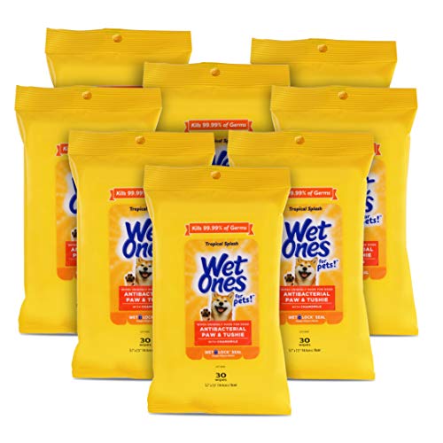 5% Off Wet Ones Dog Wipes - Paws & Tushie Clean - Image 1