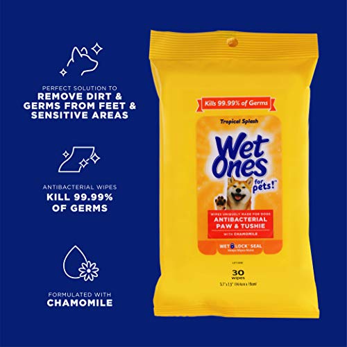 5% Off Wet Ones Dog Wipes - Paws & Tushie Clean - Image 2