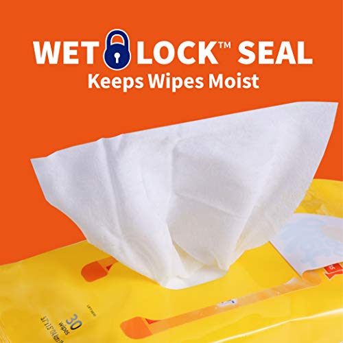 5% Off Wet Ones Dog Wipes - Paws & Tushie Clean - Image 4