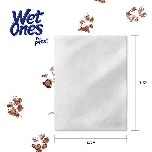 5% Off Wet Ones Dog Wipes - Paws & Tushie Clean - Image 5