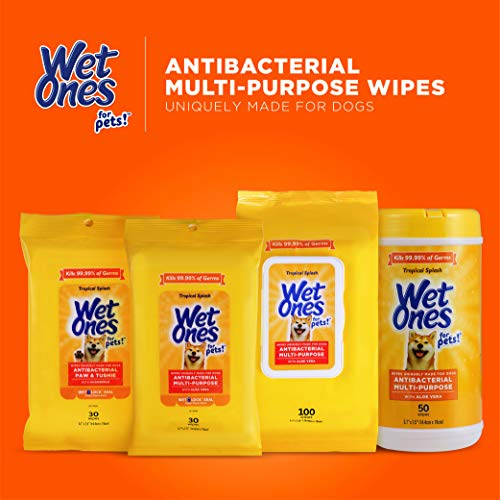 5% Off Wet Ones Dog Wipes - Paws & Tushie Clean - Image 6