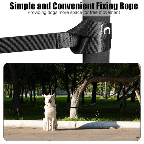 50% Off Heavy Duty Nylon Dog Training Leash - Image 6