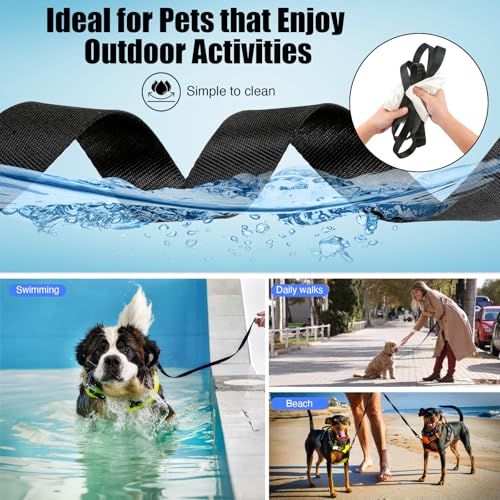 50% Off Heavy Duty Nylon Dog Training Leash - Image 7