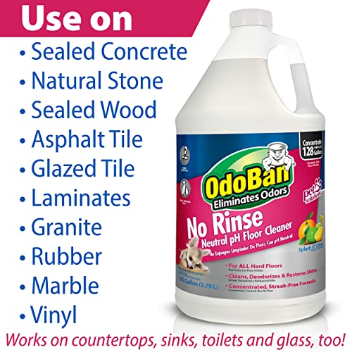Save 46% on OdoBan Pet Stain & Floor Cleaner Kit - Image 4