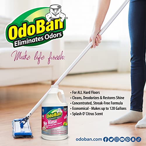 Save 46% on OdoBan Pet Stain & Floor Cleaner Kit - Image 6