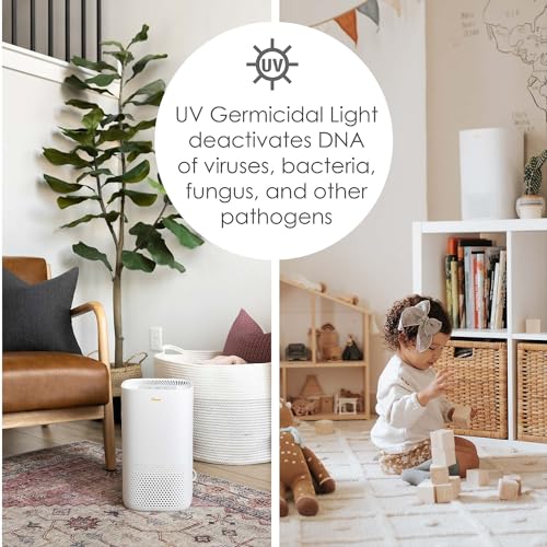 Crane Air Purifier with HEPA & UV Light - Now $39.99 - Image 5