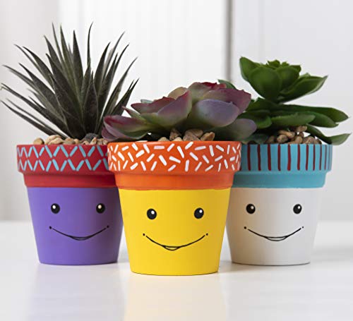 Apple Barrel Acrylic Paint Pack of 3 - Great Deal - Image 5