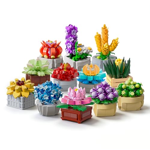 50% Off Chodia Succulent Building Block Set - Code RMVCMEOX - Image 1