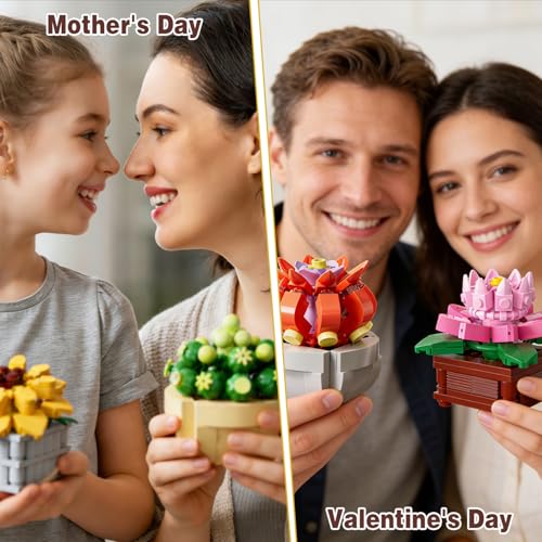 50% Off Chodia Succulent Building Block Set - Code RMVCMEOX - Image 6