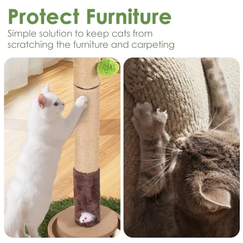 50% Off Cat Scratching Post with Interactive Toy - Image 3