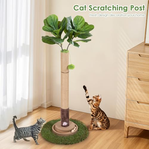 50% Off Cat Scratching Post with Interactive Toy - Image 5