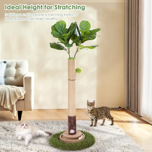 50% Off Cat Scratching Post with Interactive Toy - Image 6