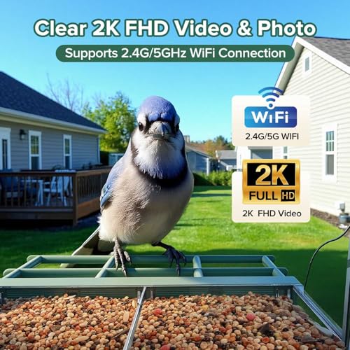 32% Off STSVA Window Bird Feeder Camera - Image 2