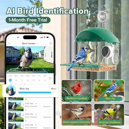 32% Off STSVA Window Bird Feeder Camera - Image 3