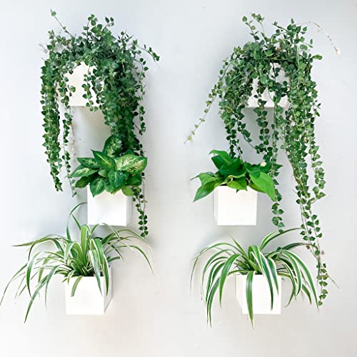 50% Off LaLaGreen 6-Pack Wall Planters for Indoor & Outdoor - Image 3