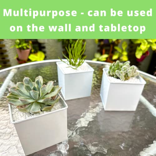 50% Off LaLaGreen 6-Pack Wall Planters for Indoor & Outdoor - Image 4