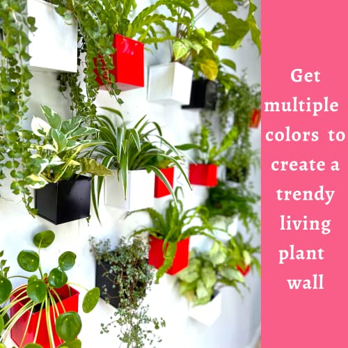 50% Off LaLaGreen 6-Pack Wall Planters for Indoor & Outdoor - Image 6