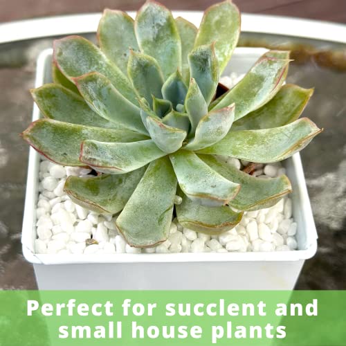 50% Off LaLaGreen 6-Pack Wall Planters for Indoor & Outdoor - Image 7