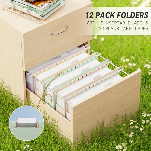 50% Off XINGIA Legal Size Hanging File Folders, 12-Pack - Image 3