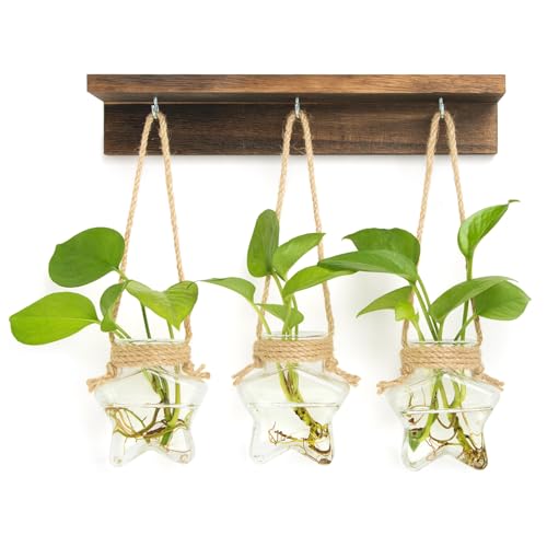 55% Off XXXFLOWER Star-Shaped Wall Propagation Station - Image 1