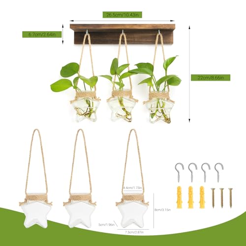 55% Off XXXFLOWER Star-Shaped Wall Propagation Station - Image 2