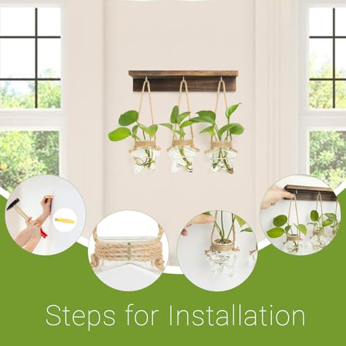 55% Off XXXFLOWER Star-Shaped Wall Propagation Station - Image 3