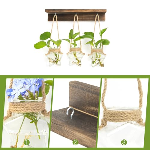 55% Off XXXFLOWER Star-Shaped Wall Propagation Station - Image 4