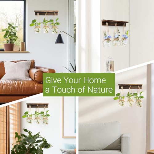 55% Off XXXFLOWER Star-Shaped Wall Propagation Station - Image 5