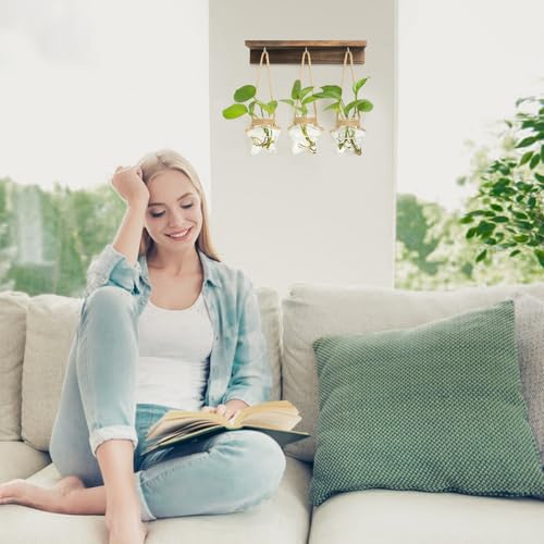 55% Off XXXFLOWER Star-Shaped Wall Propagation Station - Image 6