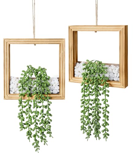 2-Pack Hanging Artificial Succulents with LED Lights - 44% Off - Image 1