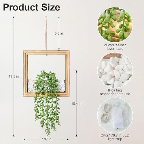 2-Pack Hanging Artificial Succulents with LED Lights - 44% Off - Image 3