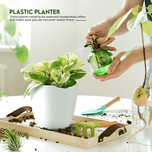 32% Off Utopia Home Plant Pots Set of 5 - $11.87 - Image 4