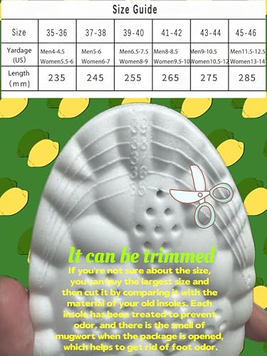 Cloud Soles Insoles: 4D Arch Support & Pain Relief for Men & Women - Image 2