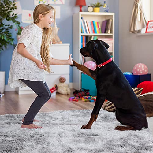 19% Off YOBATH Fluffy Shag Area Rug 5x7 - Image 6