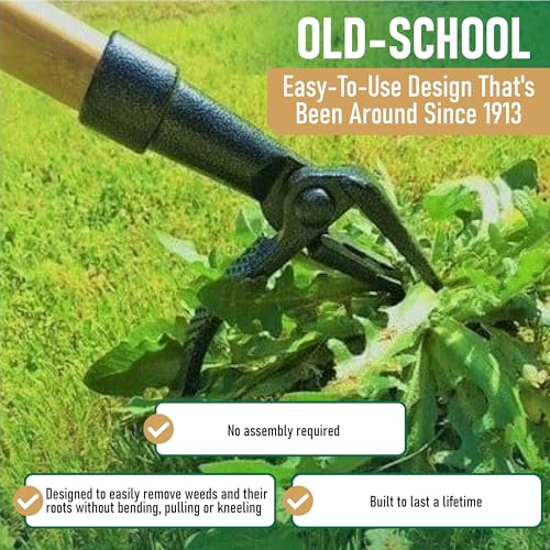 Grampa's Weeder - Stand Up Weed Puller - 39.97 - Image 3